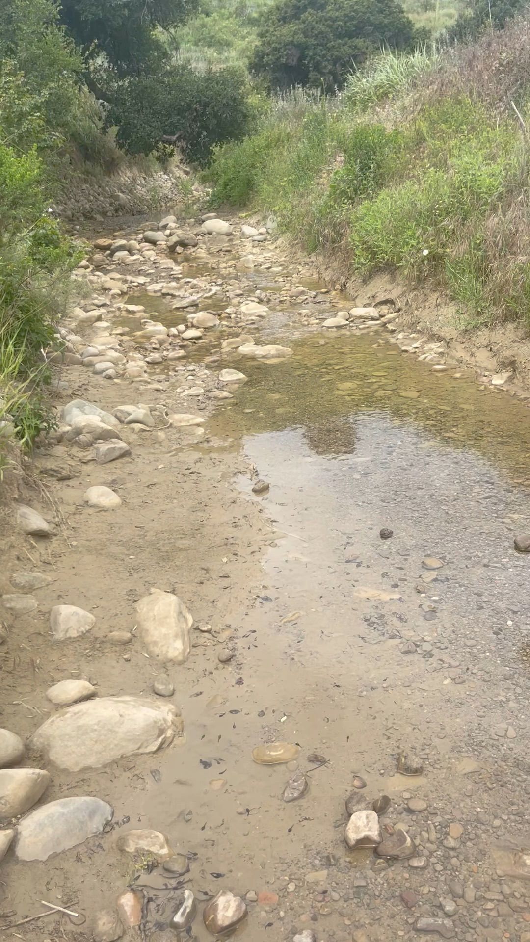 Harmon Canyon late May Walk:)