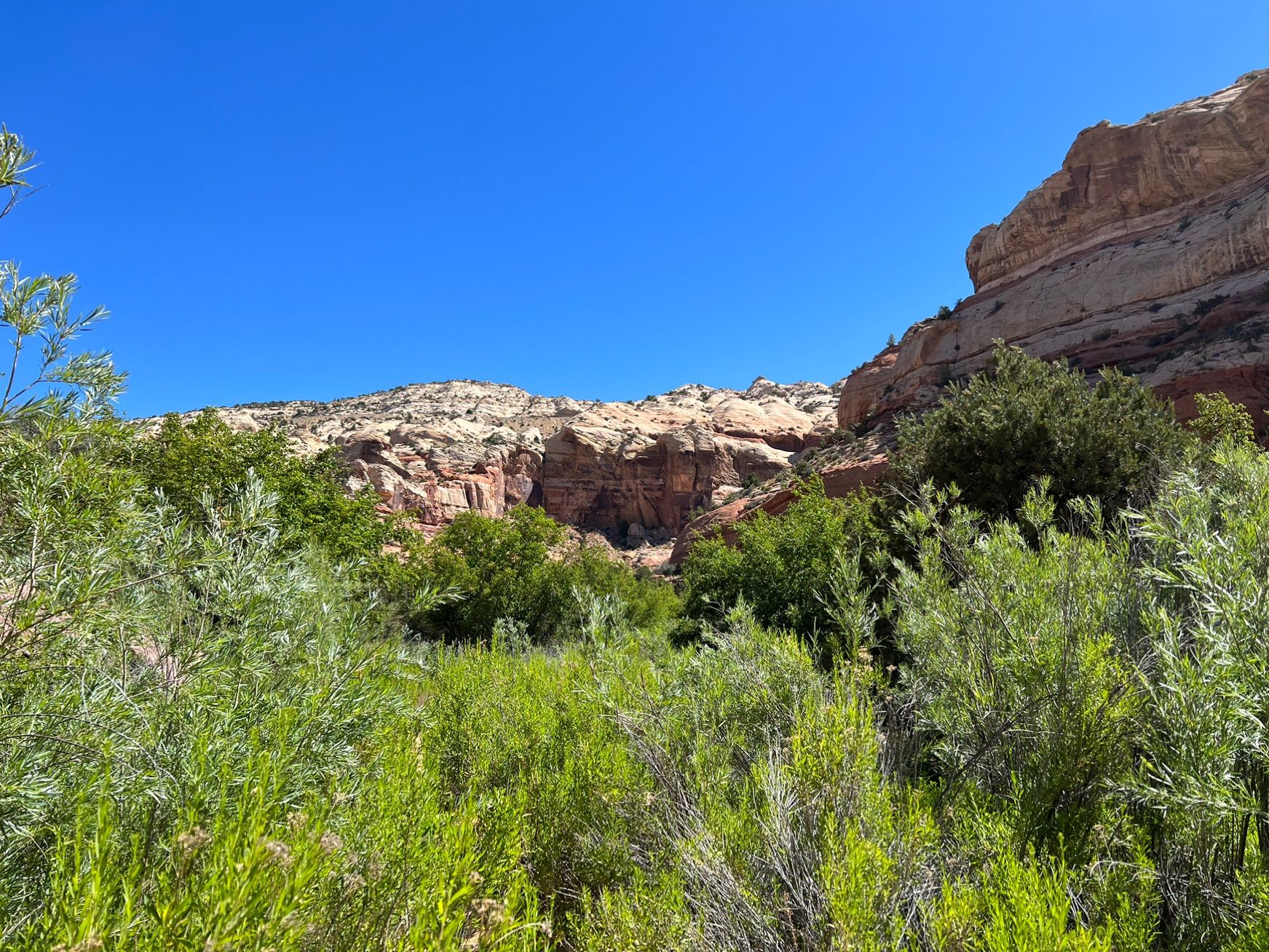 Calf creek falls