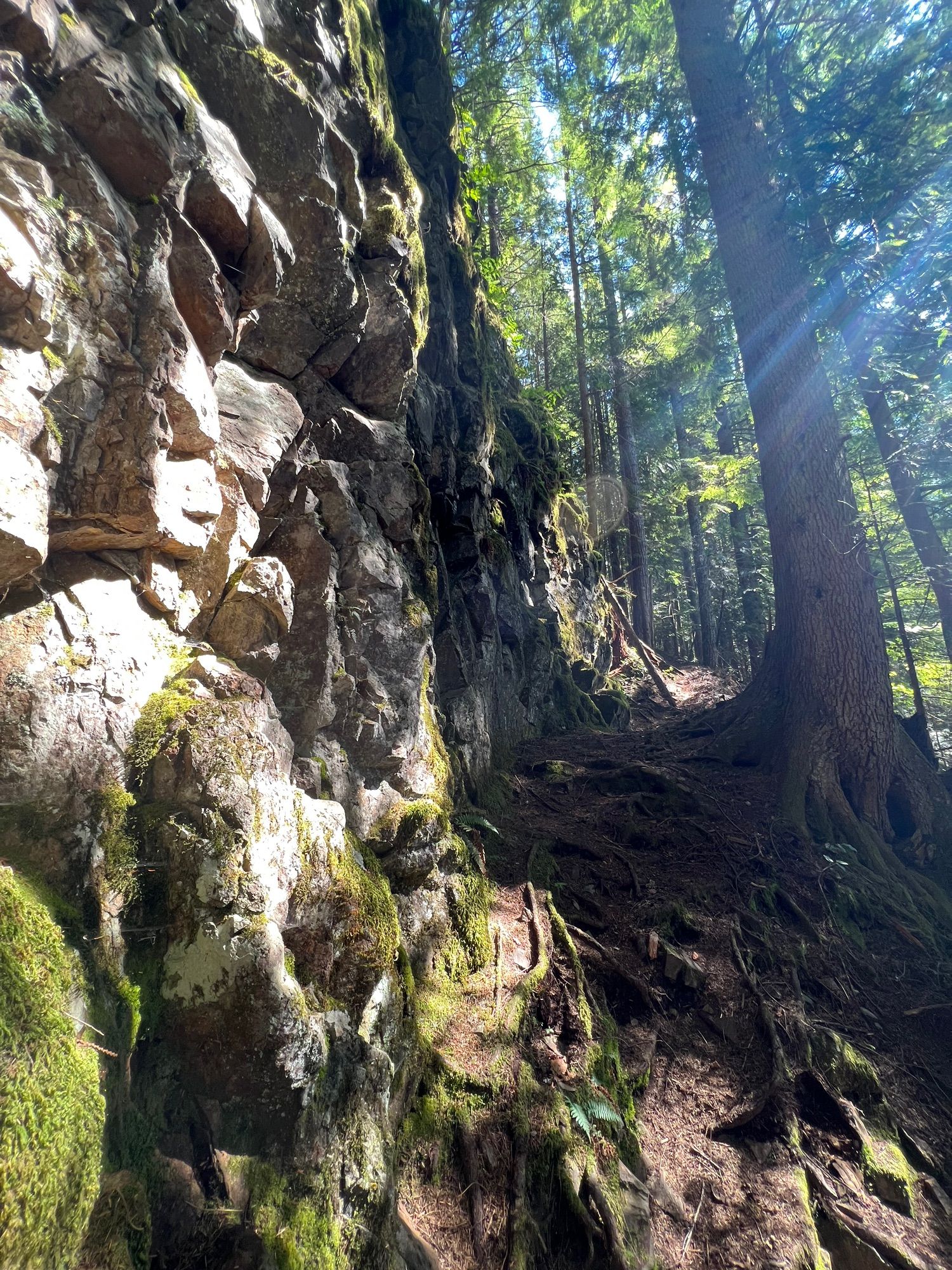 Hike with Kathy