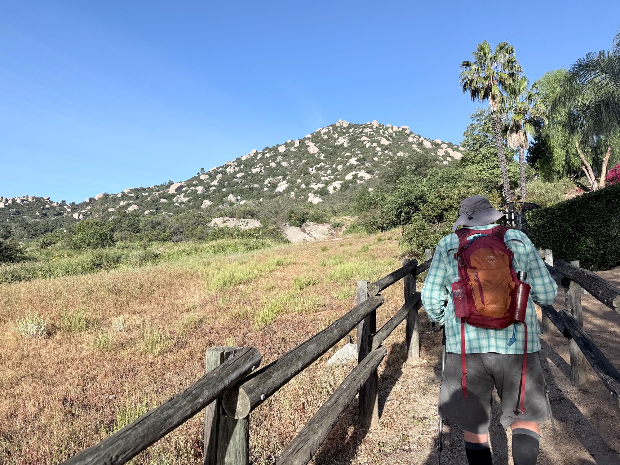 Activity thumbnail