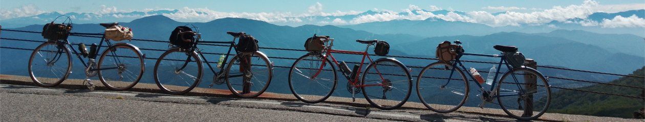 User banner
