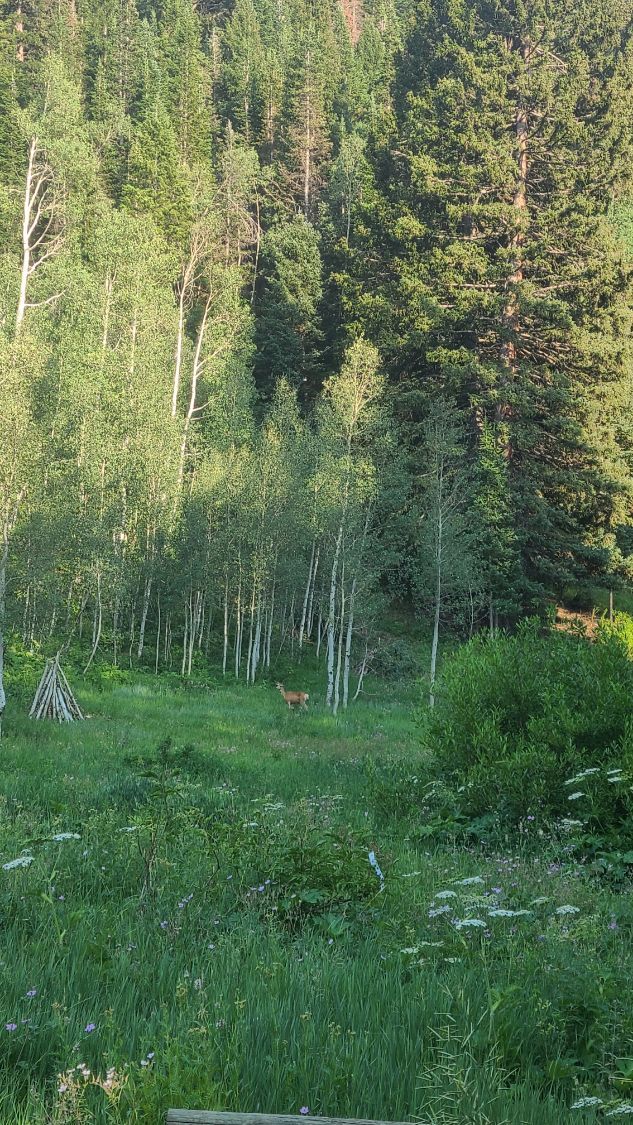 Activity thumbnail