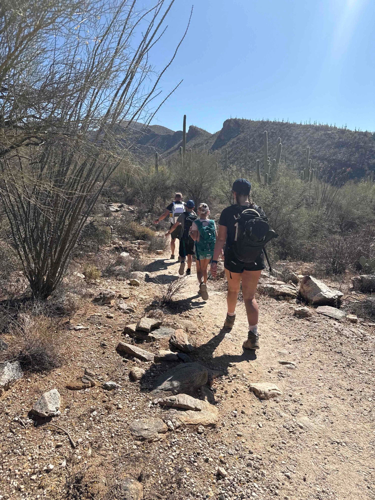 Activity thumbnail