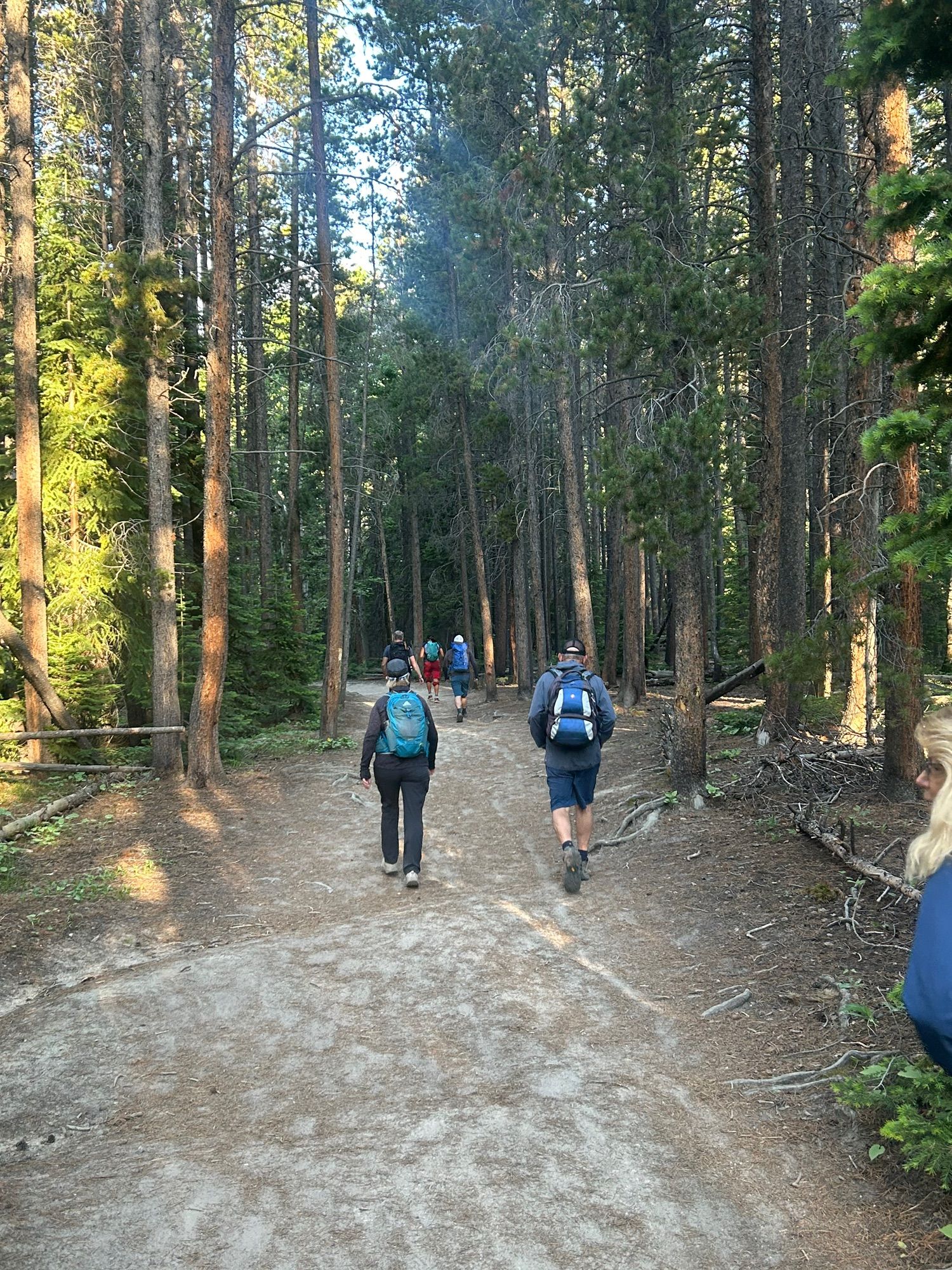 Activity thumbnail