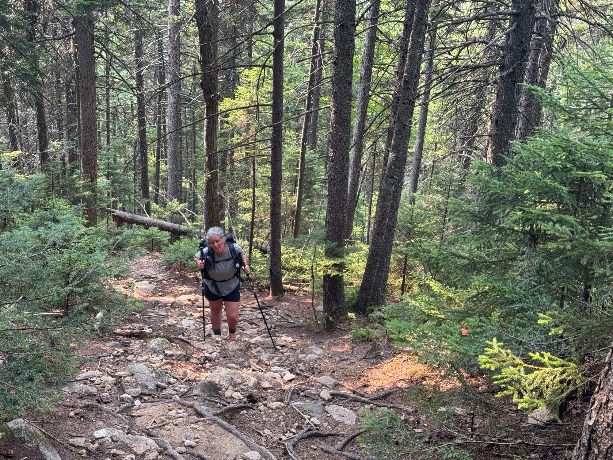 Activity thumbnail