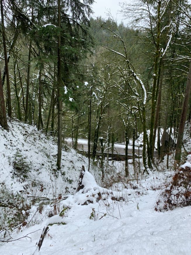 Sunday’s snowy fun