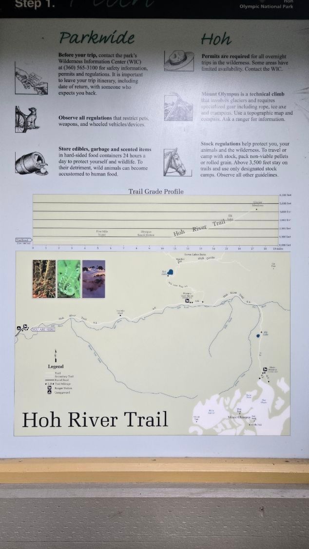 Activity thumbnail