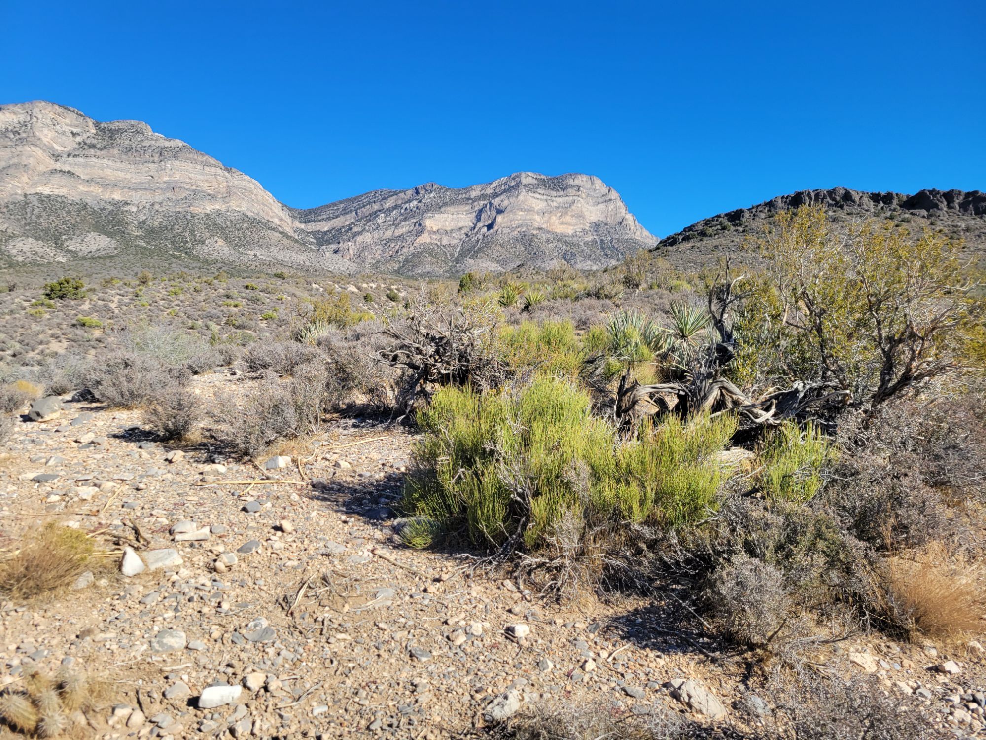 Keystone Thrust