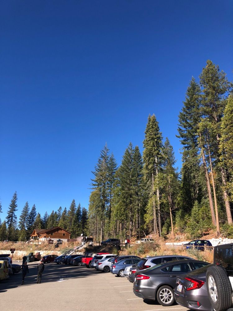 Mariposa grove