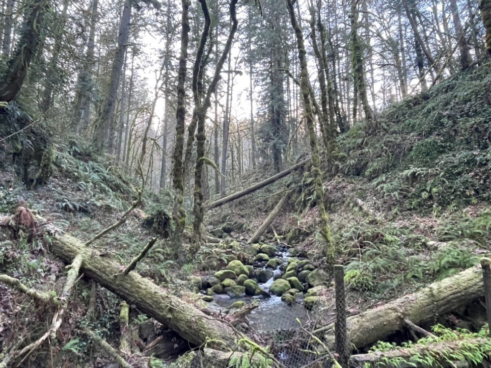 PNW Half Marathon