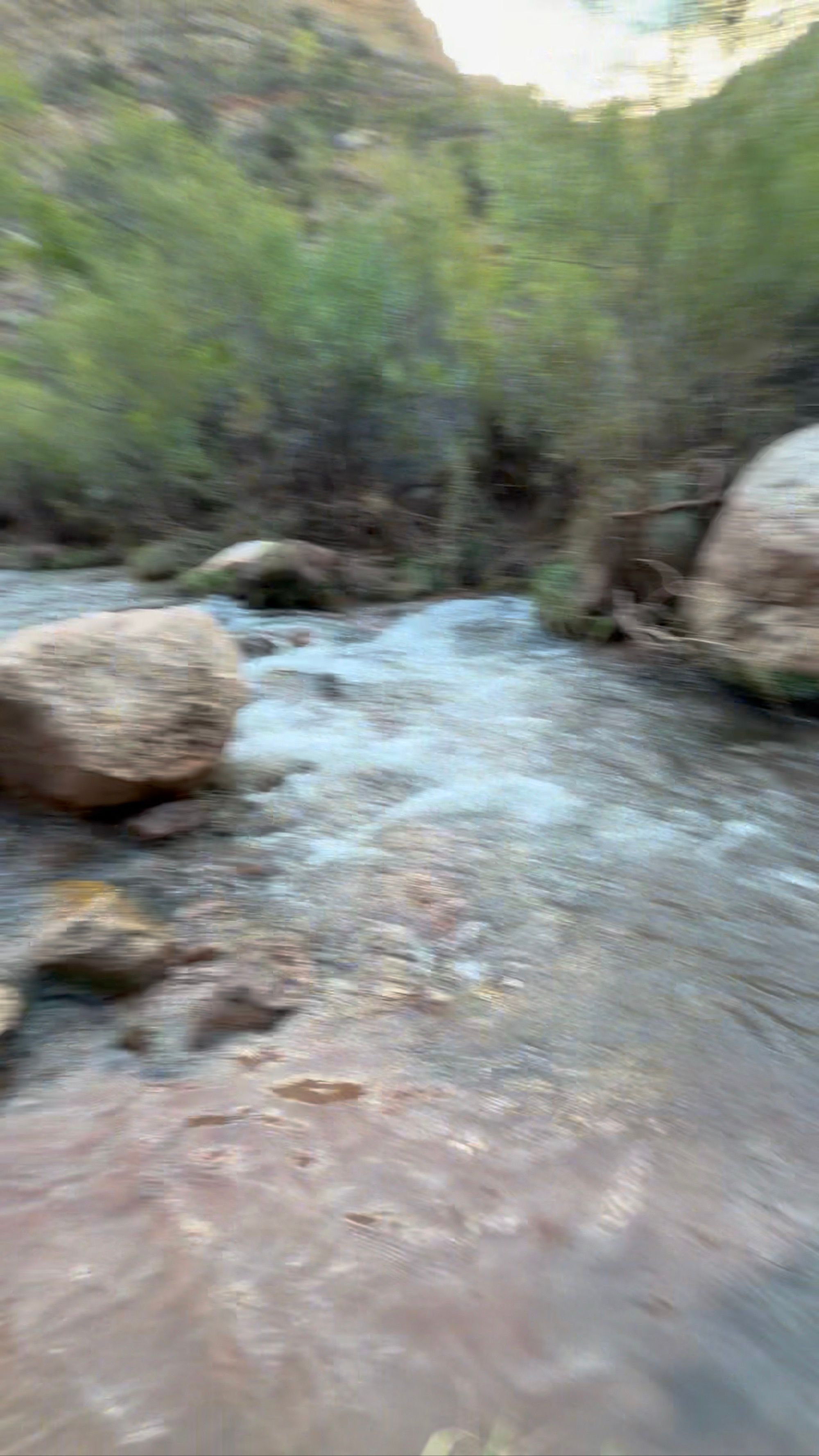 Activity thumbnail