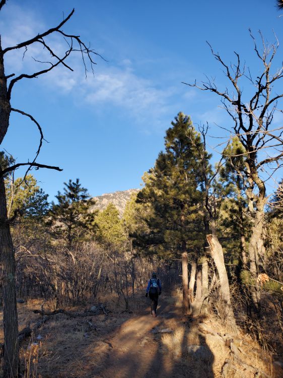 Awesome run 50k+