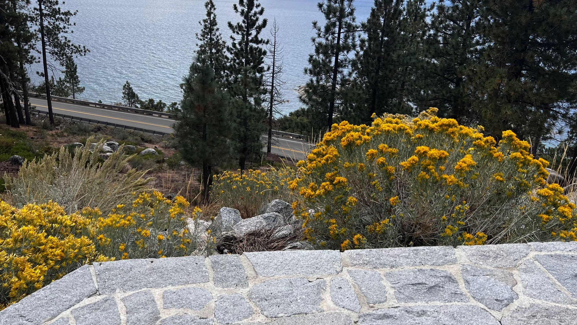 ROL cycling in Lake Tahoe