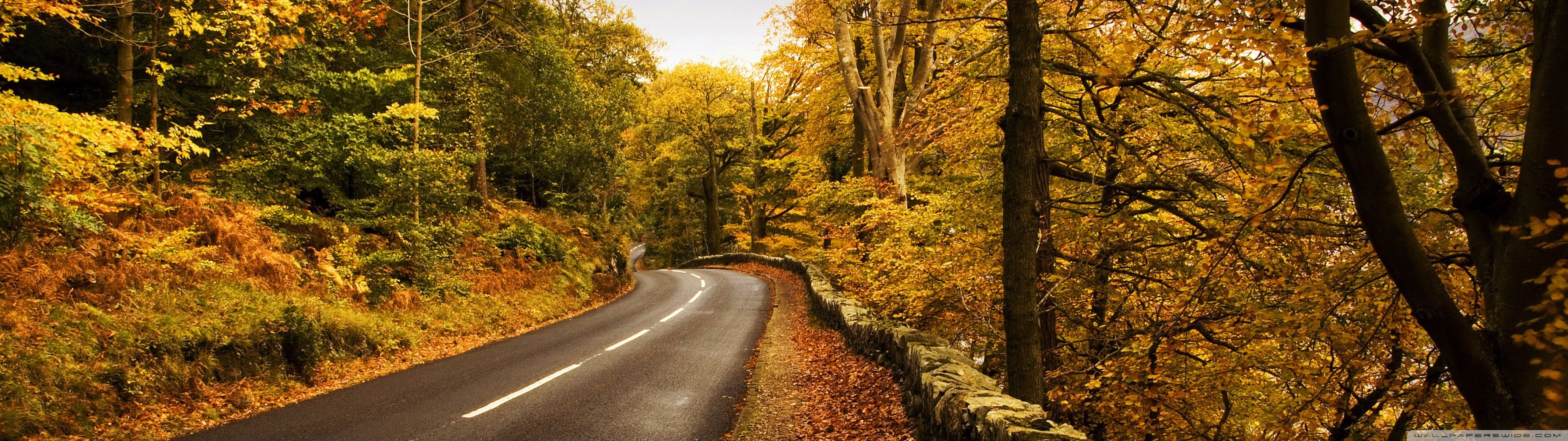 User banner