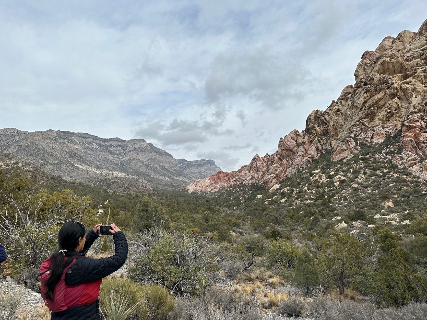 222 Dec Vegas Red Rock La Madre Springs