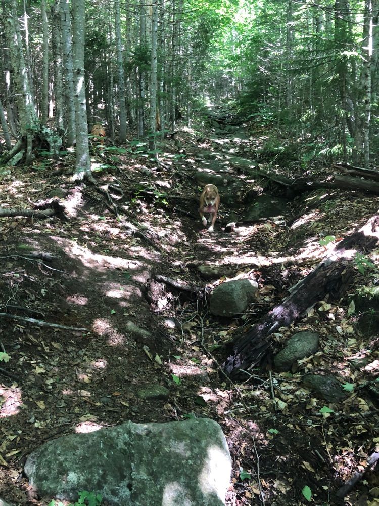 Mount Smarts