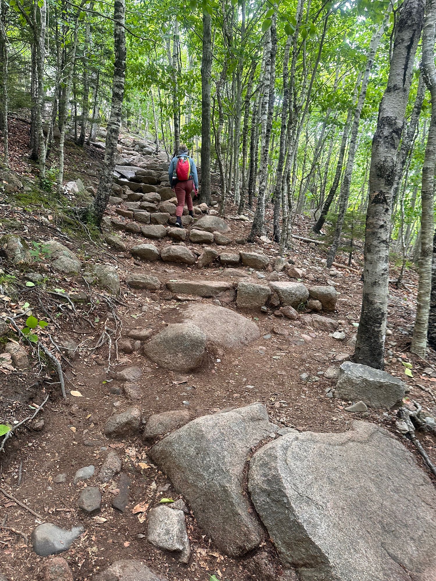 Acadia, day 1.0