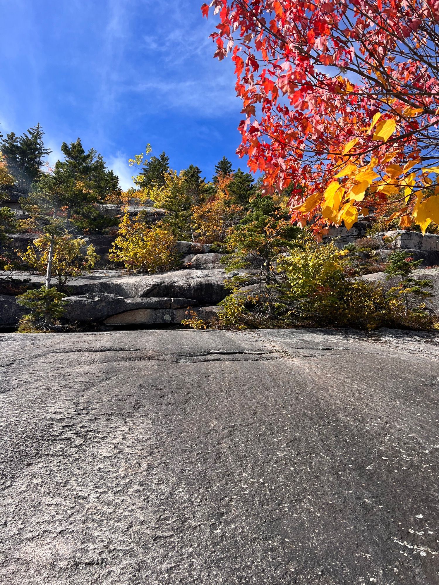 Baldface Circle Hike