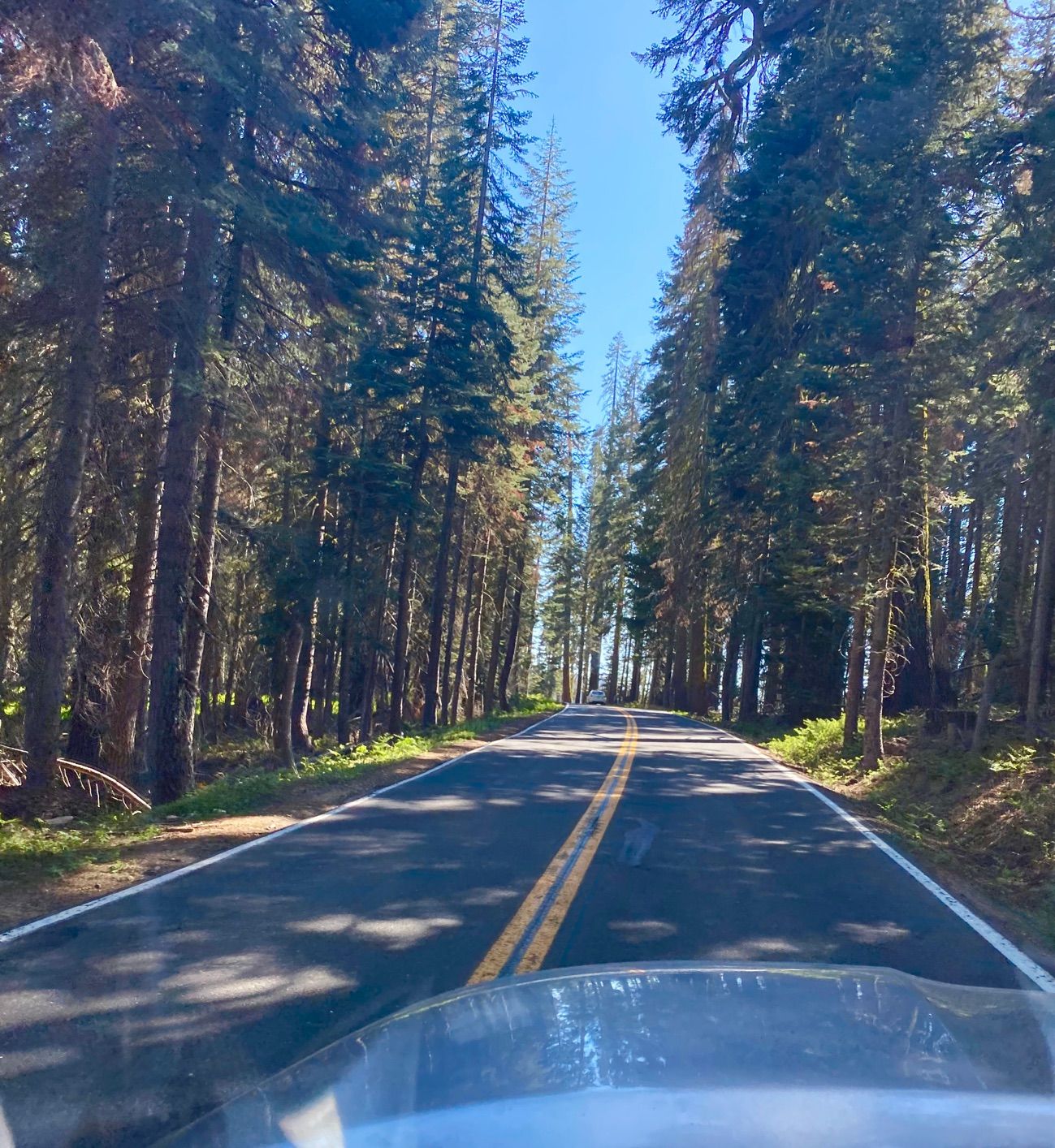 Exiting exciting Yosemite Valley