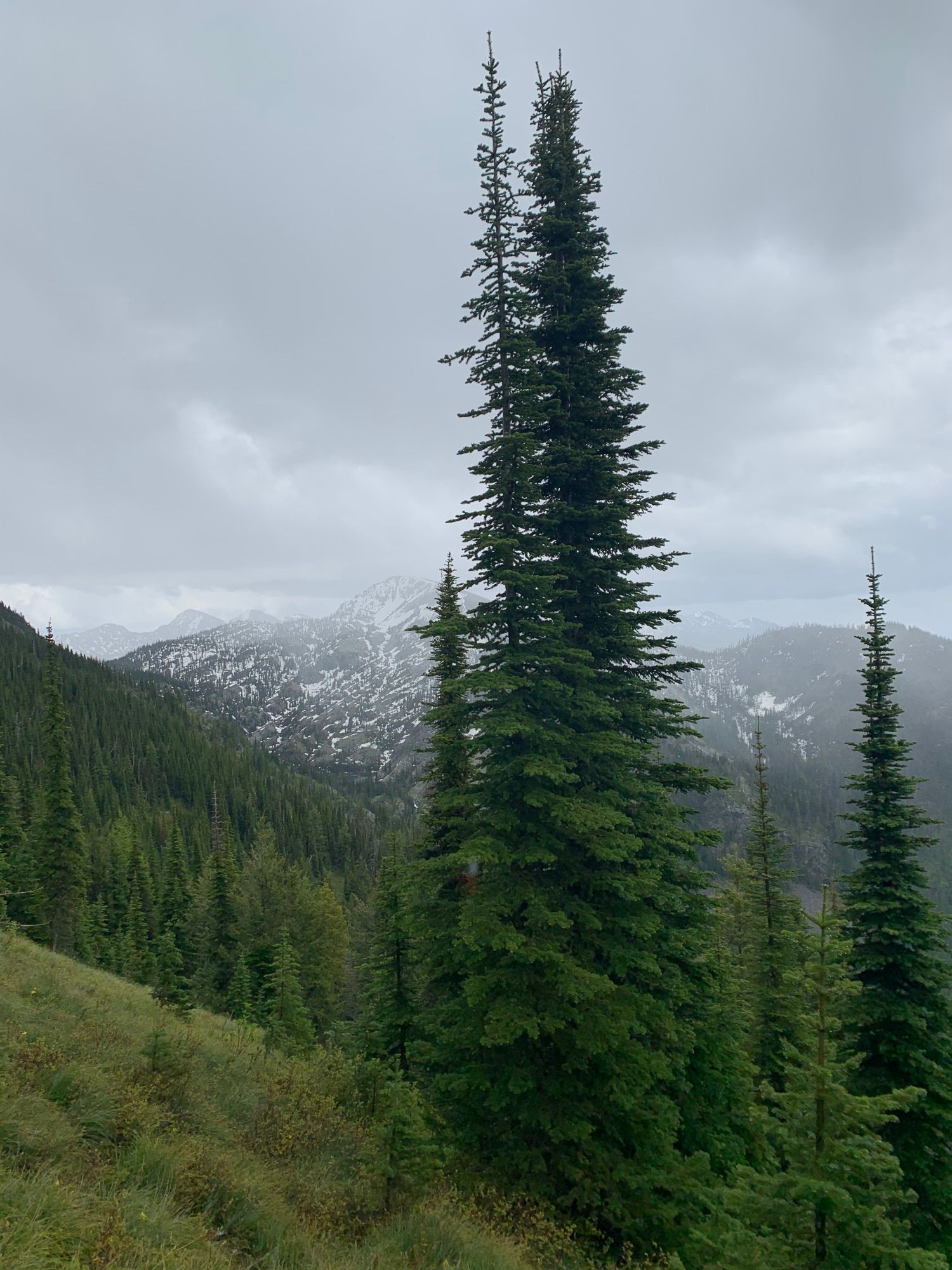 Jewel Basin via Switchback