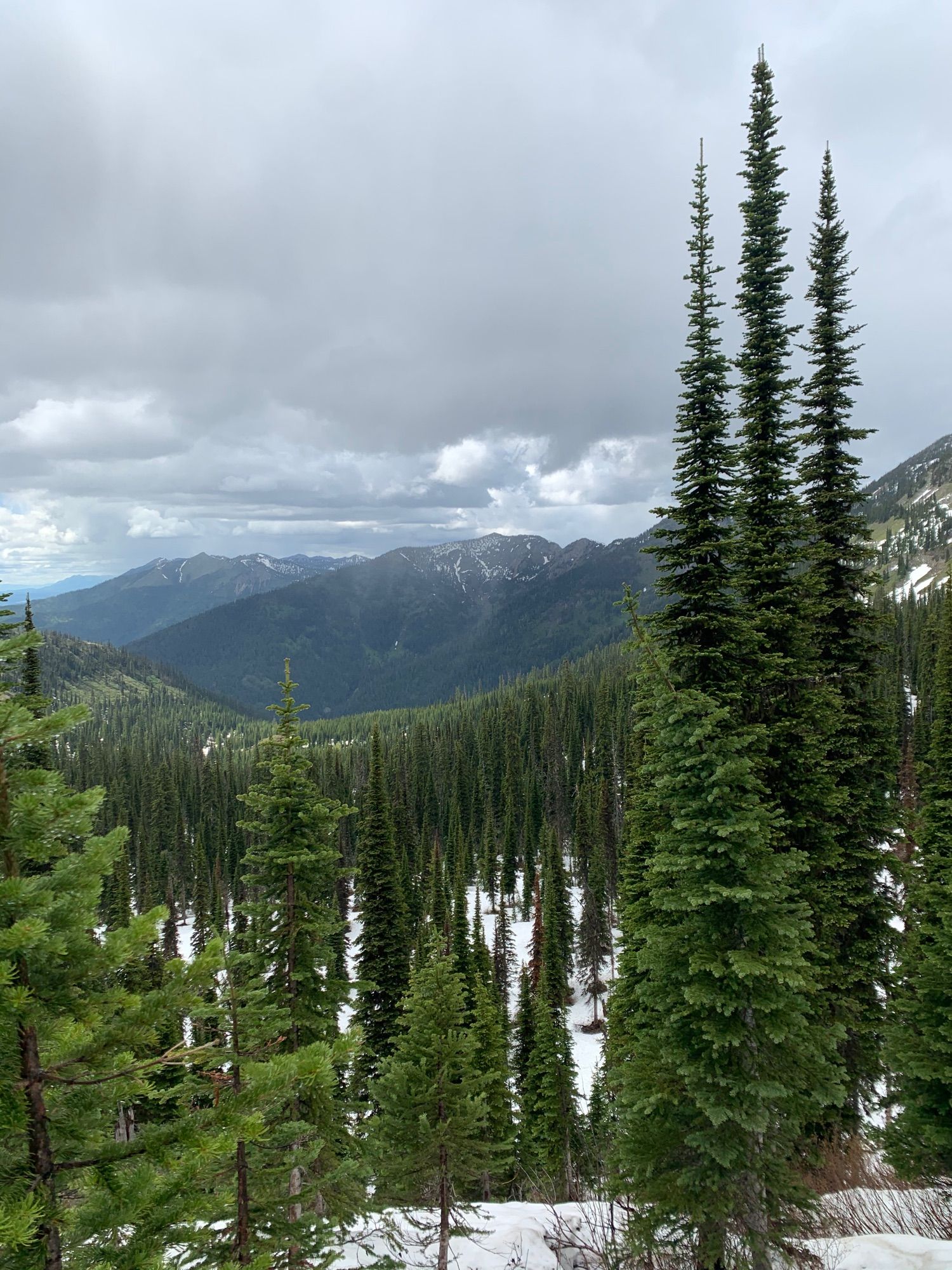 Jewel Basin via Switchback