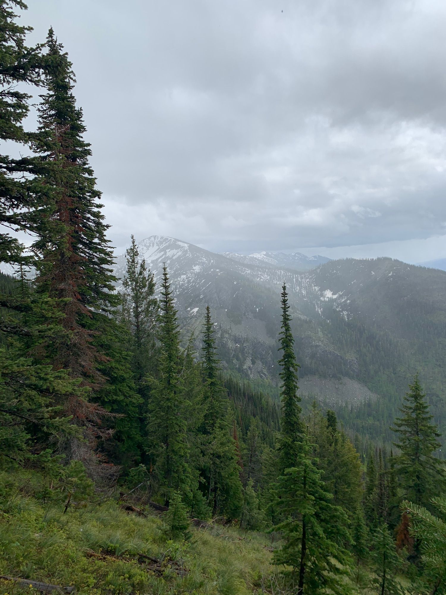 Jewel Basin via Switchback