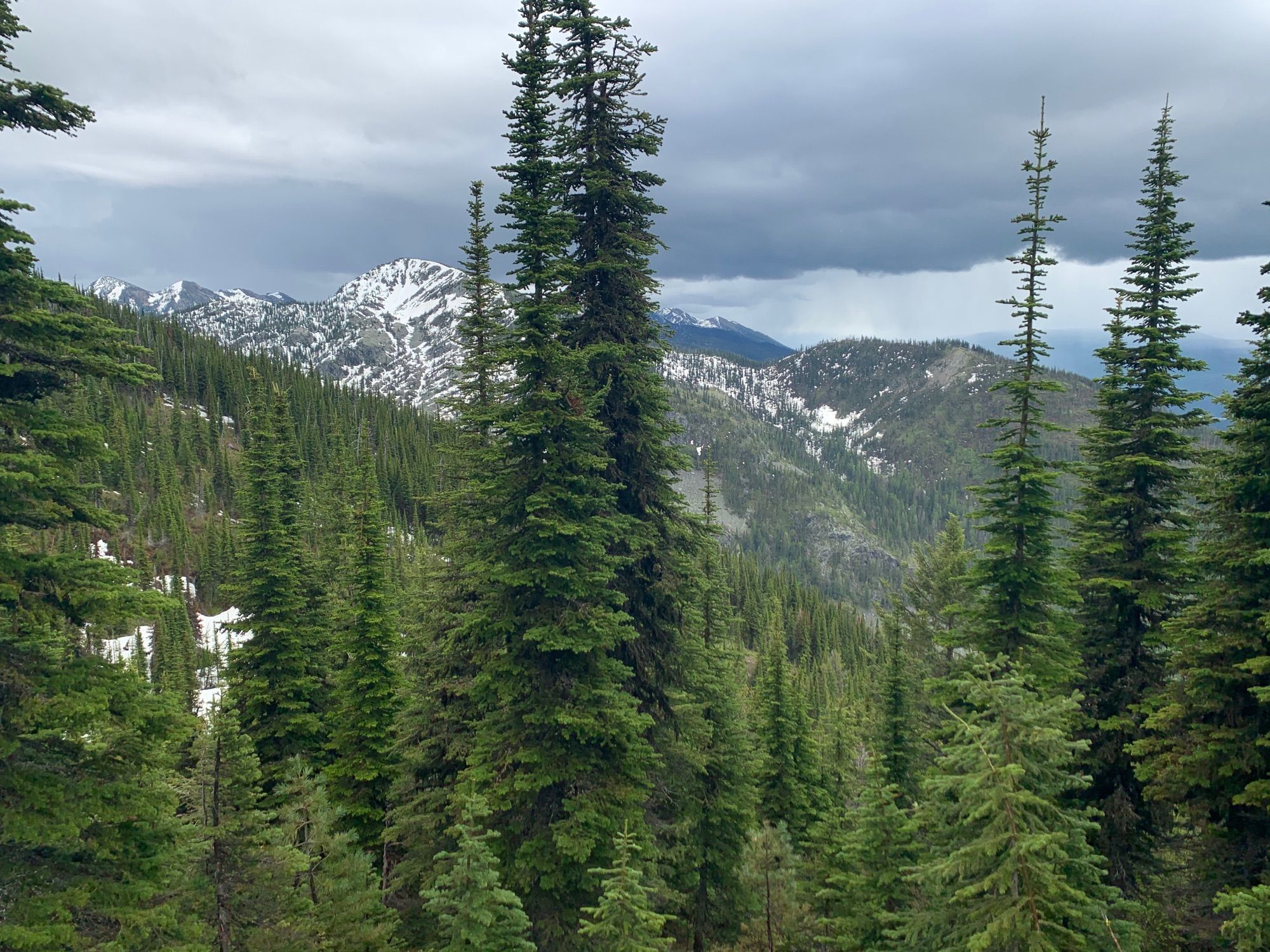 Jewel Basin via Switchback