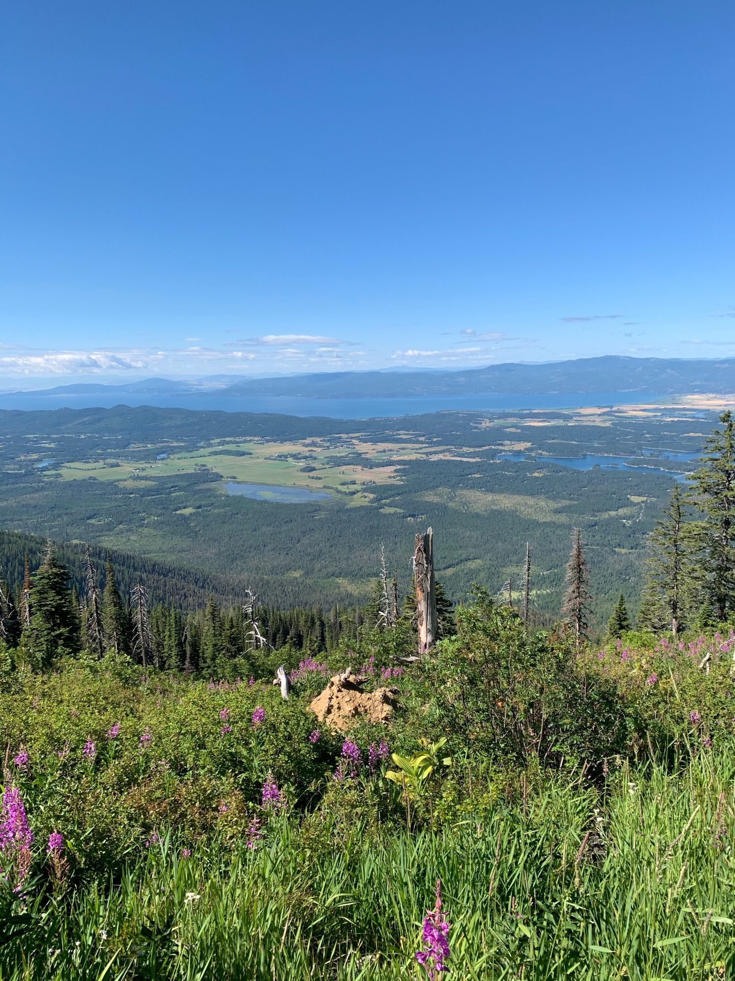 Birch Lake