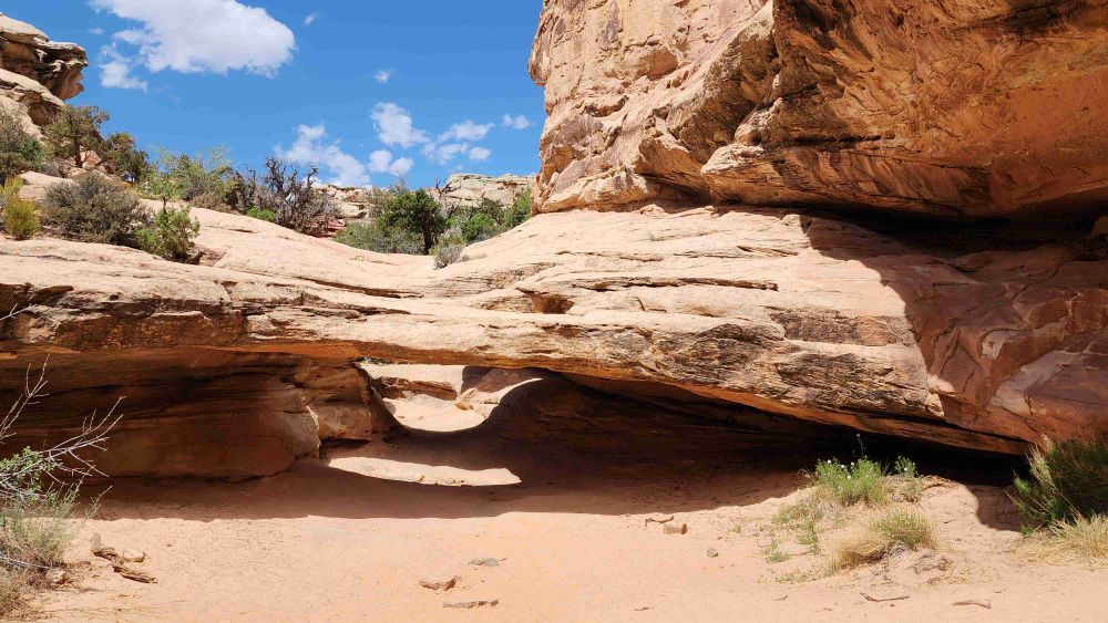 Hickman Nutural Bridge Capitol Reef