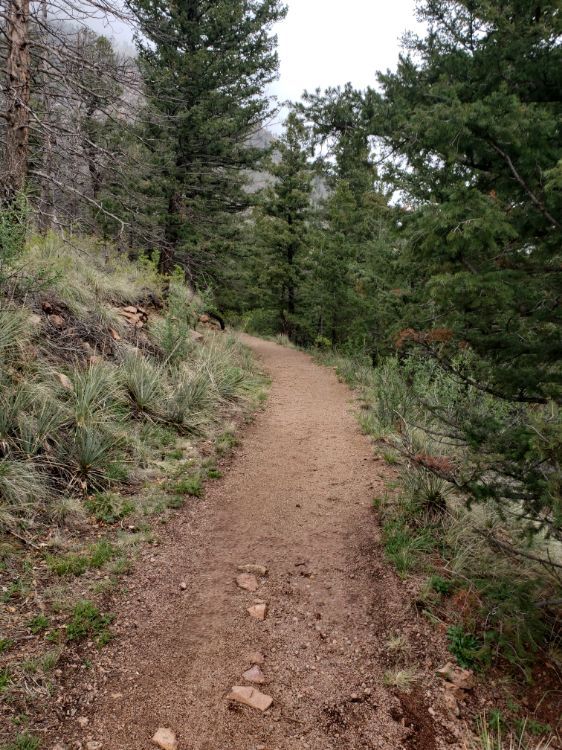 5.19mi Walk