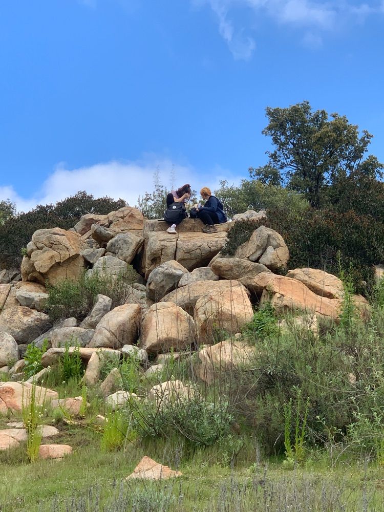 Barnett Ranch Preserve