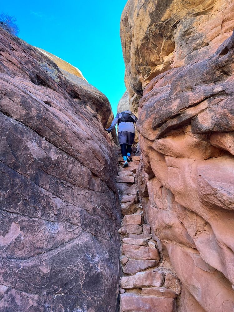 Chesler Loop