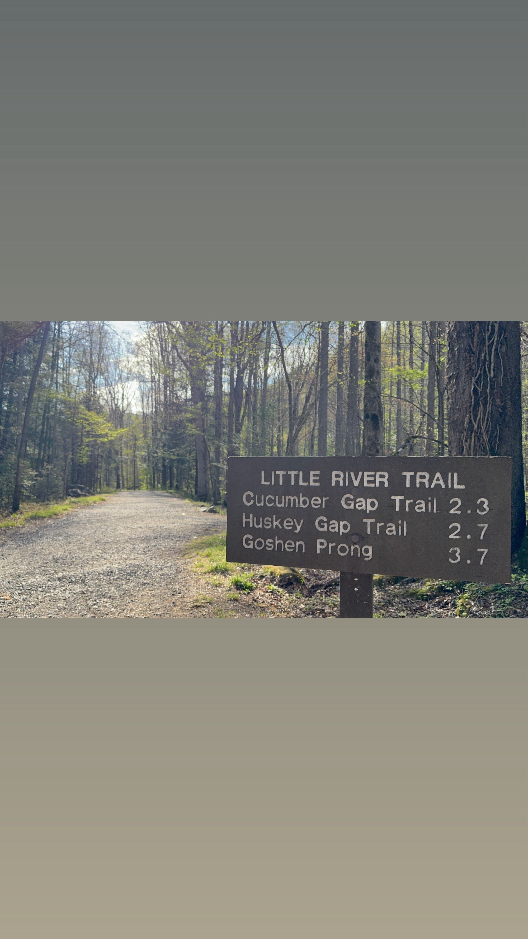Activity thumbnail