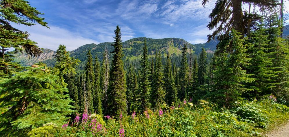 Birch Lake Trail