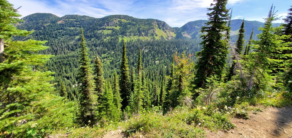 Birch Lake Trail