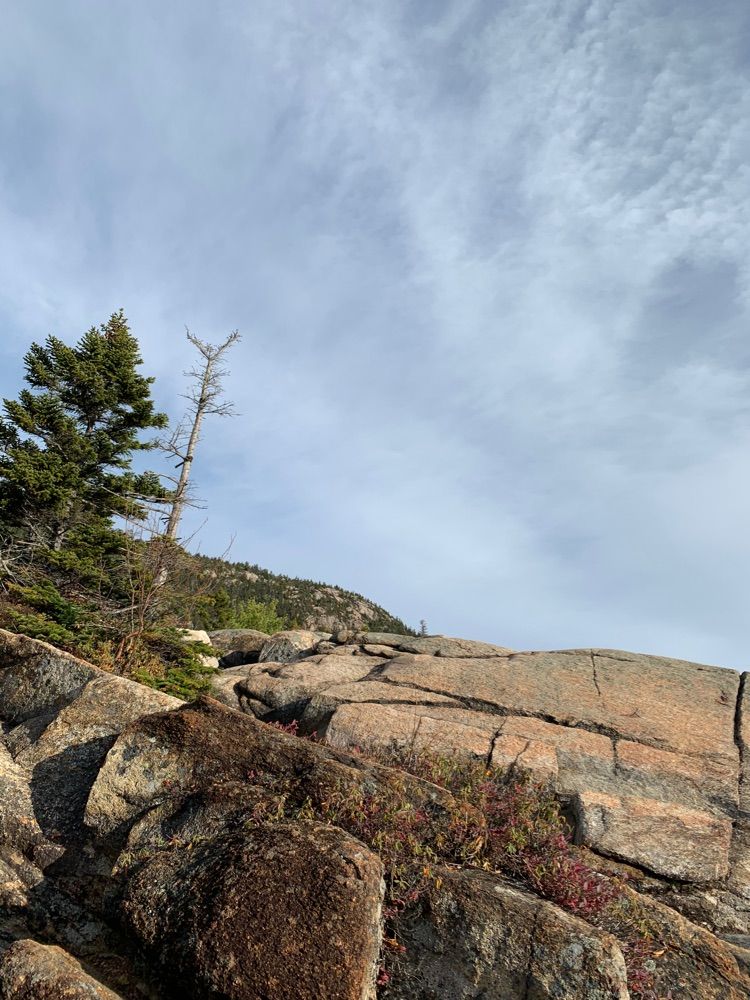 Hike