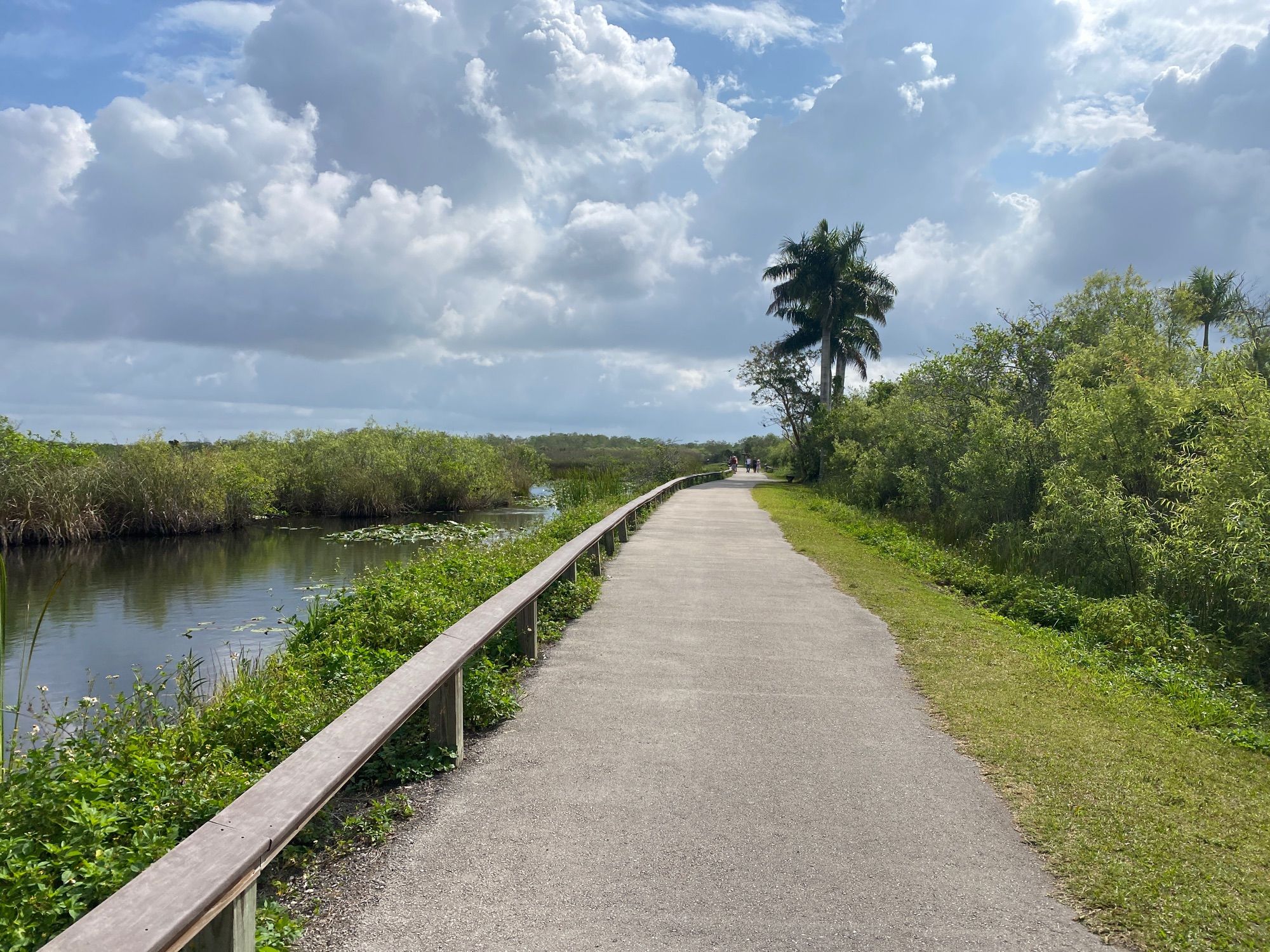 Anhinga Trail