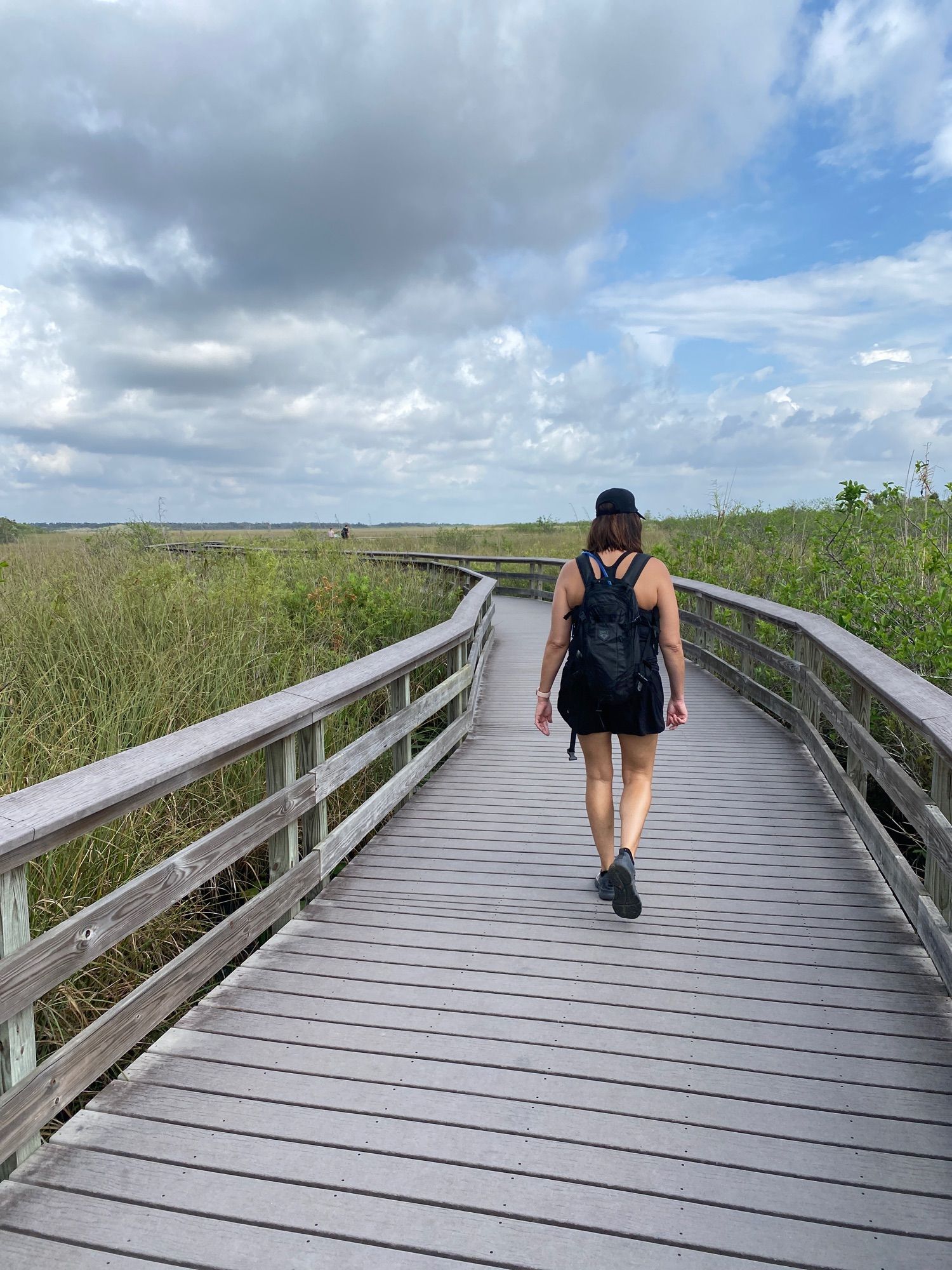 Anhinga Trail