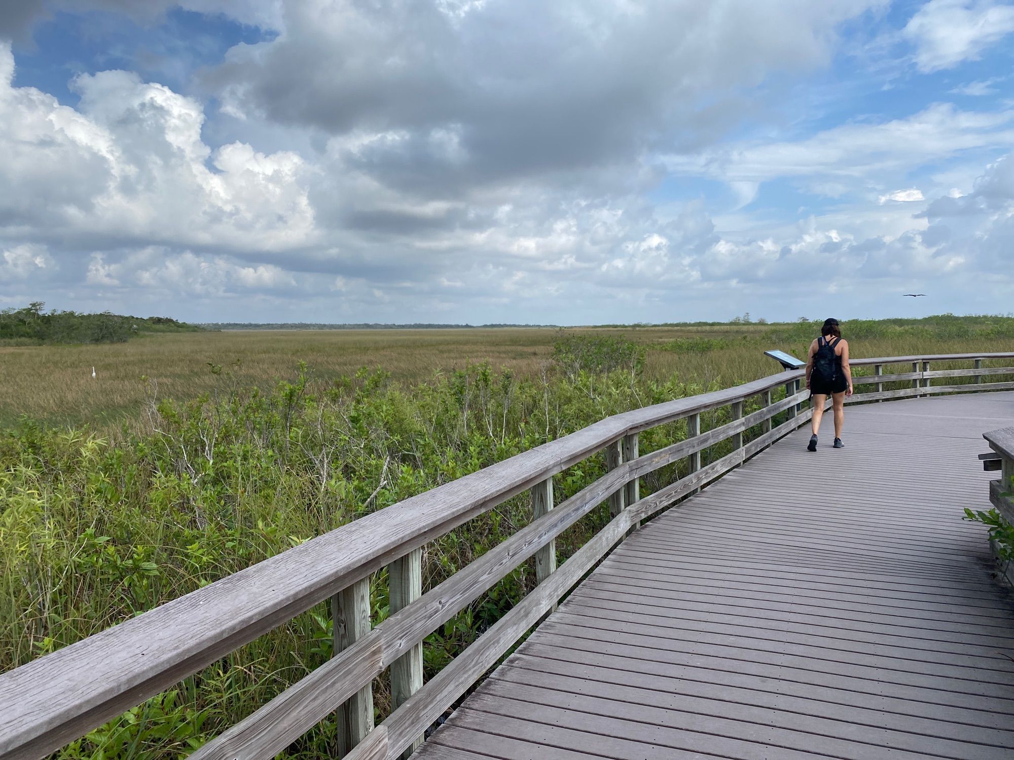 Anhinga Trail