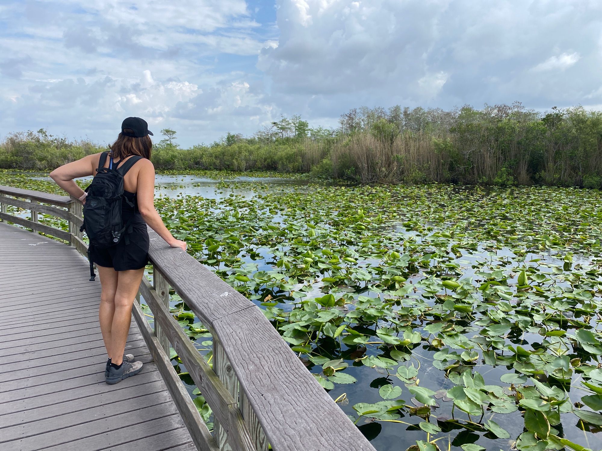 Anhinga Trail