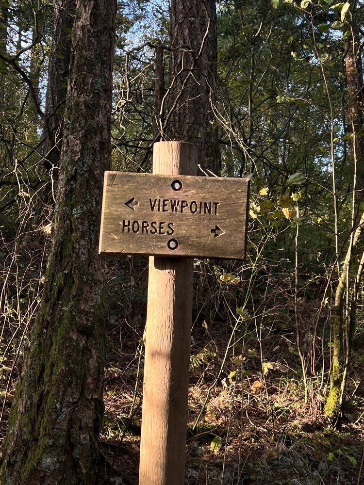 Cape Horn Trail