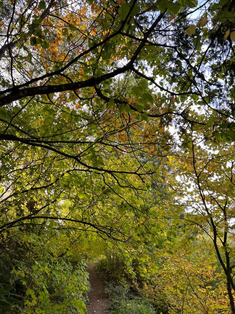 Cape Horn Trail