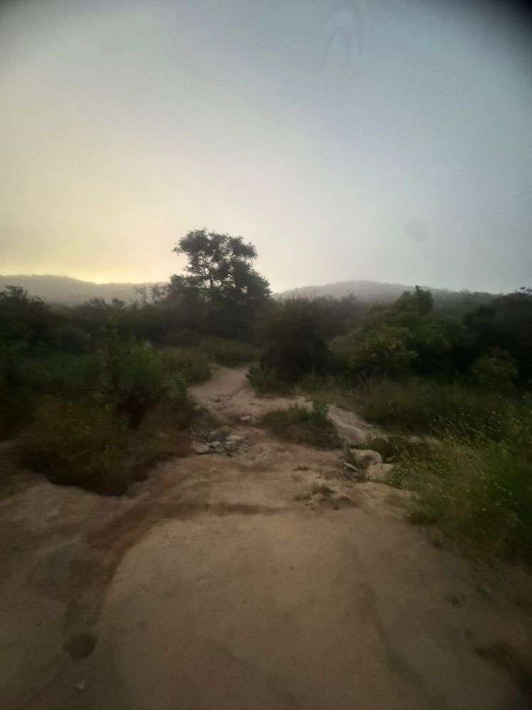 Activity thumbnail