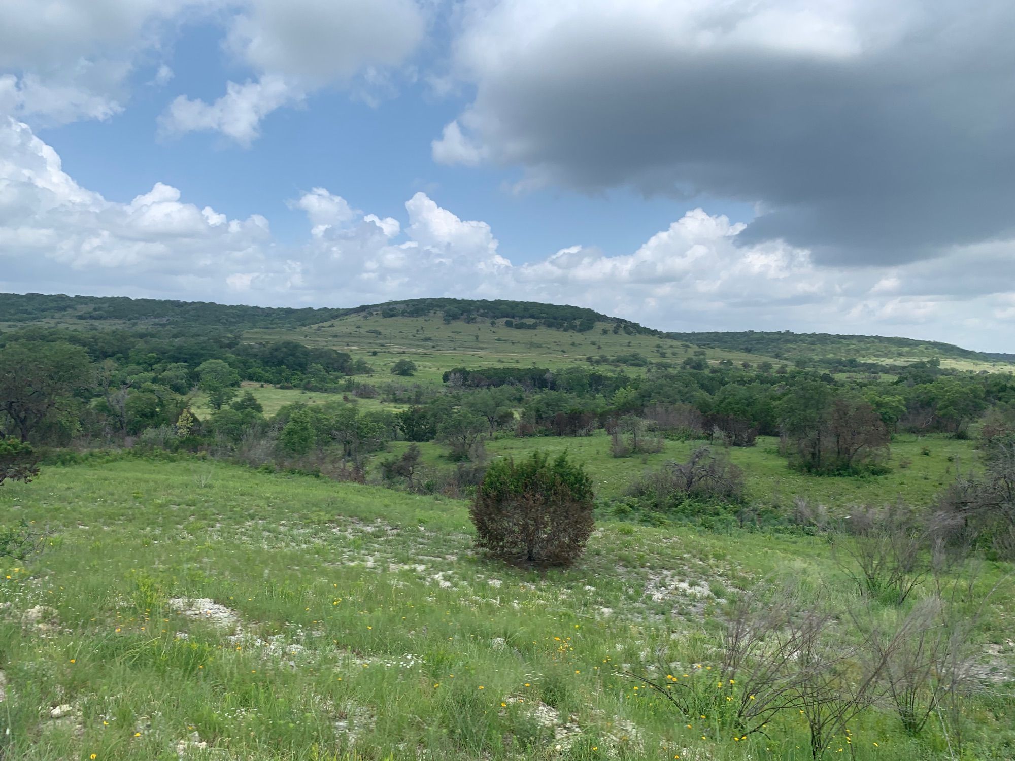 Balcones Canyonland National Preserve