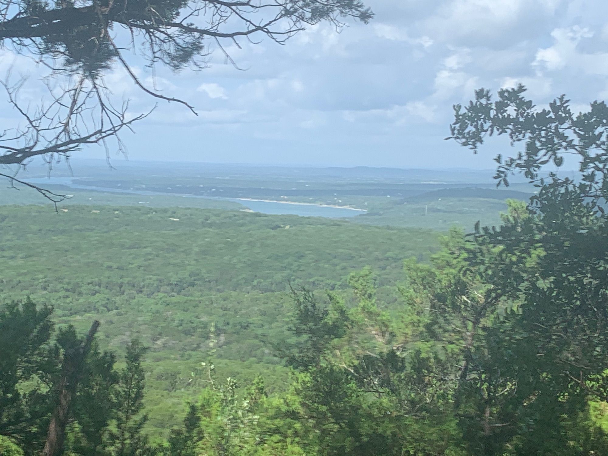 Warbler Vista Trail