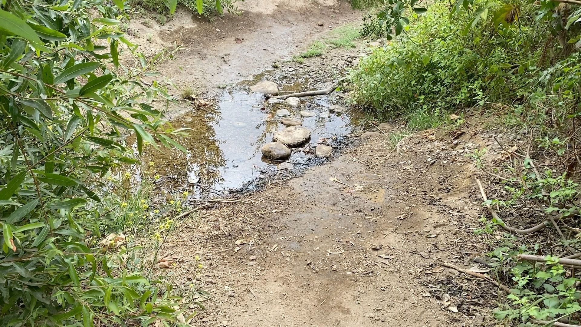 Father’s Day Hike