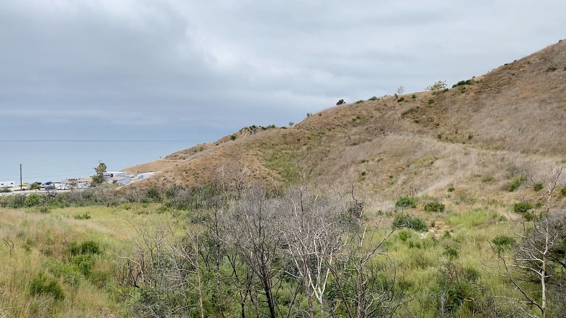 Father’s Day Hike