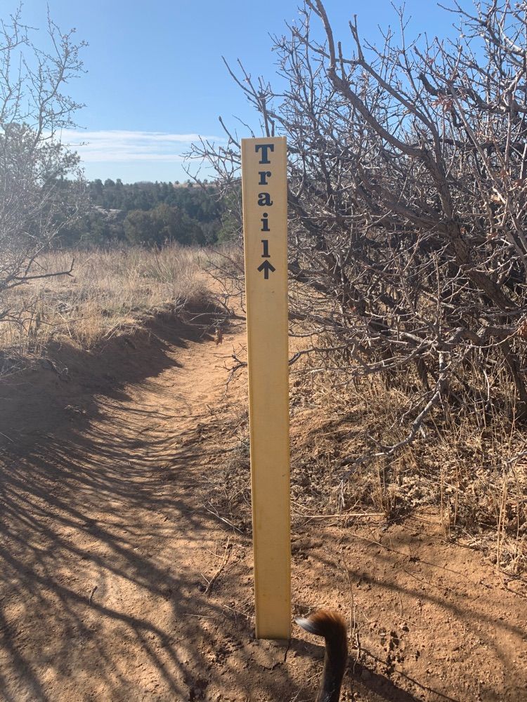 Palmer Park 4/5