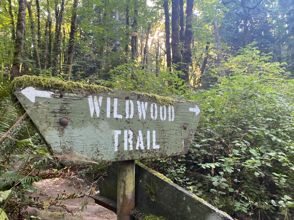 Wildwood trail:Springville - Newberry