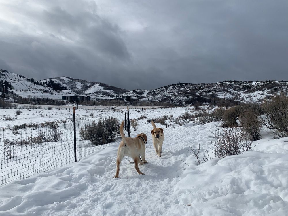 Afternoon adventure